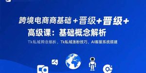（15496期）跨境电商基础+晋级+高级课：基础概念解析,Tk私域涨粉技巧,AI客服系统搭建-网创资源