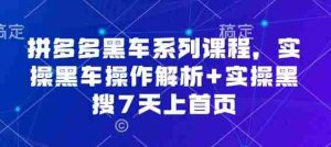 拼多多黑车系列课程，实操黑车操作解析+实操黑搜7天上首页【音频】-网创资源