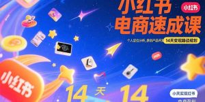 （15490期）小红书虚拟电商速成课：个人定位分析，原创产品开发，14天变现路径规划-网创资源