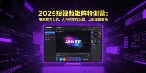 （15475期）2025短视频矩阵特训营：爆款脚本公式，AIMIX智剪流程，二创原创要点-网创资源