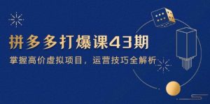 拼多多打爆课第 43 期，掌握高价虚拟项目，运营技巧全解析（15节）-网创资源