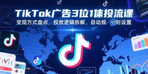 （15460期）TikTok广告3位1体投流课，变现方式盘点，投放逻辑拆解，自动规则设置-网创资源