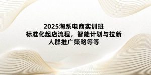 2025淘系电商实训班：标准化起店流程，智能计划与拉新，人群推广策略等等-网创资源