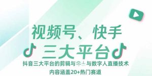 （15449期）视频号、快手、抖音三大平台的剪辑与数字人直播技术，内容涵盖20+热门赛道-网创资源