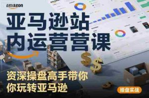 亚马逊站内运营课：资深操盘高手带你玩转亚马逊-网创资源