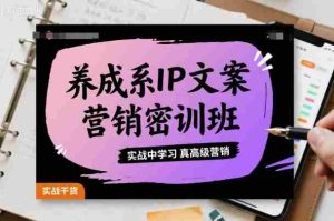 养成系IP文案营销密训班，实战中学习真高级营销-网创资源