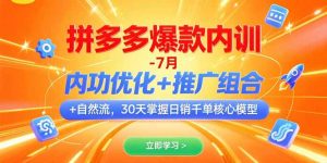 （15402期）拼多多爆款内训-7月 内功优化+推广组合+自然流 30天掌握日销千单核心模型-网创资源