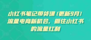 小红书笔记带货课(更新25年9月)流量电商新机会，抓住小红书的流量红利-网创资源