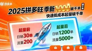 2025拼多多旺季新老店铺——快速低成本起量破千单-网创资源
