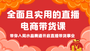 全面且实用的直播电商带货课，带你入局水晶赛道开启直播带货事业-网创资源