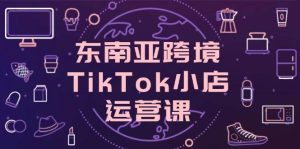 东南亚跨境TikTok小店运营课，掌握店铺设置与流量转化核心技巧-网创资源