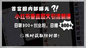 （15313期）首富圈内部曝光小红书垂直图文引流新课，日吸300+创业粉，日赚800+，限…-网创资源