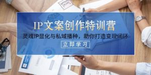 IP文案创作特训营，灵魂IP显化与私域播种，助你打造变现闭环（14节课）-网创资源