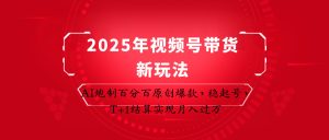 2025年视频号带货新玩法：AI炮制百分百原创爆款，稳起号，T+1结算实现月入过万-网创资源