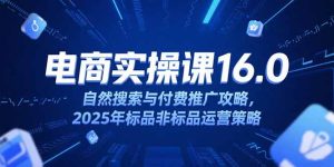 （15262期）淘宝电商运营课16.0，自然搜索与付费推广攻略，2025年标品非标品运营策略-网创资源