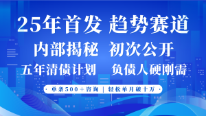 2025年首次公开，真正的事业型赛道，客咨不断，单月轻松破十-网创资源
