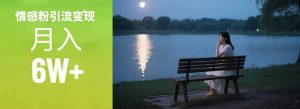 （15229期）情感粉引流变现实操课：单月变现6w+，情感粉引流变现实操课-网创资源