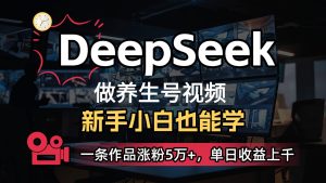 DeepSeek+既梦Ai生成养生视频，5分钟一条，条条爆款，轻松日入300+-网创资源