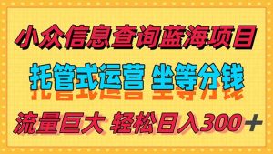 （15216期）稳定日入300＋，小众信息查询蓝海项目，全程懒人式托管，解放你的时间-网创资源