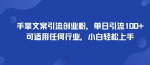 手掌文案引流创业粉，单日引流100+，可适用任何行业，小白轻松上手-网创资源