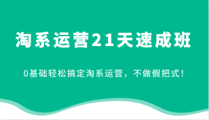 淘系运营21天速成班，0基础轻松搞定淘系运营，不做假把式！（更新）-网创资源