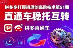 拼多多打爆班原创高阶技术第51期，直通车稳托互转-网创资源