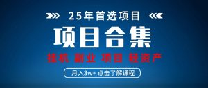 实操项目合集 挂机类型 直播类型 轻资产创业类型 课程分享各项目介绍和原理-网创资源