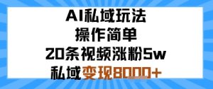 AI私域玩法，操作简单，20条视频涨粉5w，私域变现8k+-网创资源