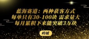 蓝海赛道：两种获客方式每单只有30-100米 需求量大每月累积下来能突破3W-网创资源