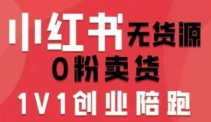 小红书无货源0粉电商课，开店准备、选品策略、笔记撰写、视频剪辑、数据分析、账号打造、资料文档-网创资源