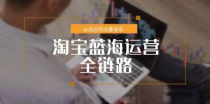 （15160期）淘宝蓝海运营全链路，从选品到流量变现，小类目突围完整方案[db:副标题]-网创资源