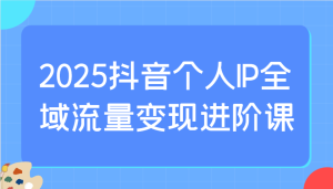 2025抖音个人IP全域流量变现进阶课：选爆品、抖音付费投流、千川投流实操及优化等-网创资源