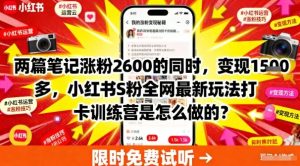 两篇笔记涨粉2600的同时，变现多张，小红书S粉全网最新玩法打卡训练营是怎么做的？-网创资源