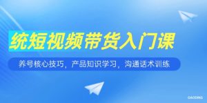 （15091期）短视频带货入门课，养号核心技巧，产品知识学习，沟通话术训练-网创资源