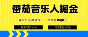 番茄音乐人掘金，单账号最高可撸1k+，可无限矩阵去做，零投入-网创资源