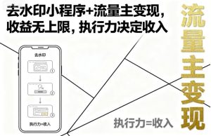 去水印小程序+流量主变现，收益无上限，执行力决定收入-网创资源