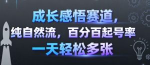 成长感悟赛道，纯自然流，百分百起号率 一天轻松多张-网创资源