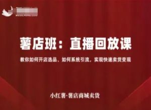 小红薯薯店商城卖货直播回放课，教你如何开店选品、如何系统引流，实现快速卖货变现-网创资源