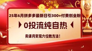 （14989期）25年6月拼多多最新日引300+付费创业粉，0投流纯自热 卖课月变现六位数方法-网创资源