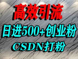 怎么打创业粉？CSDN又一个你不知道的打粉引流神秘平台，单人日引500+精准流量-网创资源