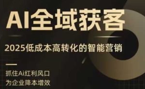 AI全域获客实训营，2025低成本高转化的智能营销，精准找客，高效营销-网创资源