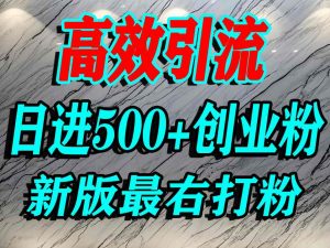 最右打创业粉，百分之九十九同行都不知道的空白蓝海，单人日引500+精准流量-网创资源