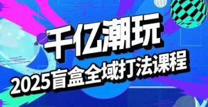 2025盲盒全域全套打法课，盲盒起号、选品、话术、私域等-网创资源