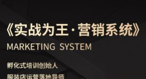服装老板必修课《实战为王-营销系统》实现业绩被动式增长-网创资源