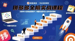 拼多多全阶实战课程，从新手小白到运营高手，海量实战玩法+全年实时更新【2025年9月更新】-网创资源