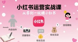 小红书运营实战课，从零到一玩賺小红书-网创资源