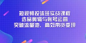 （14868期）短视频投流班实战课程，选品剪辑与账号运营，突破流量池，高效带货变现-网创资源