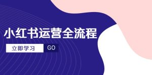 （14861期）小红书运营全流程，爆款选题文案，视频制作技巧，进阶达人宝典-网创资源