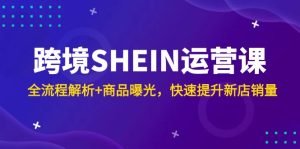（14832期）跨境SHEIN运营课，全流程解析+商品曝光，快速提升新店销量-网创资源