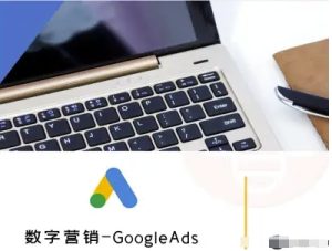 数字营销-GoogleAds-外贸跨境电商教程-网创资源